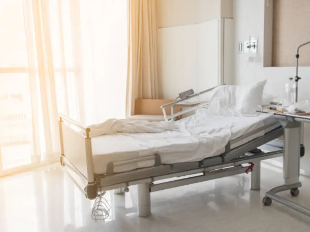 brushless vs brushed motor